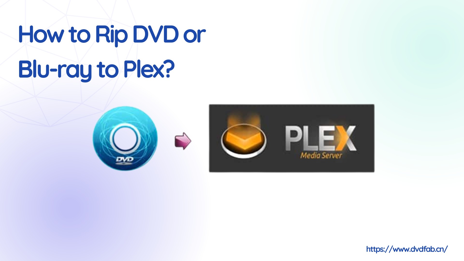 plex dvd rip